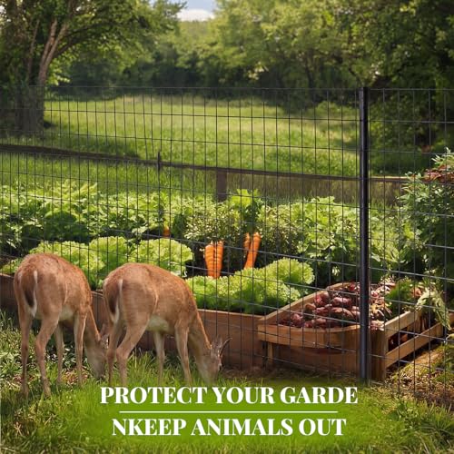 Gisafai 36in x 100ft Welded Wire Fence, 2 Inch x 4 Inch 16 Ga, Galvanized Metal Garden Fence Roll Wire Mesh Netting for Goat Deer Cattle Animal Enclosures and Yard Vegetable Plant Protection, Black | Metal Chicken Wire Fence, Hardware Cloth Wire Roll, Cag