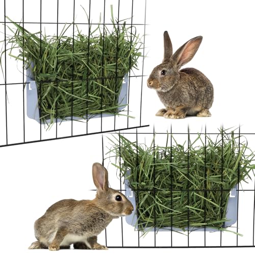 Hypeety Rabbit Hay Feeder Automatic Hay Rack for Guinea Pigs, Blue, 2pcs | Durable plastic holder, easy to fill, reduces hay waste, for rabbits/guinea pigs/chinchillas/small animals, cage accessories - color: Blue, size: 2pcs