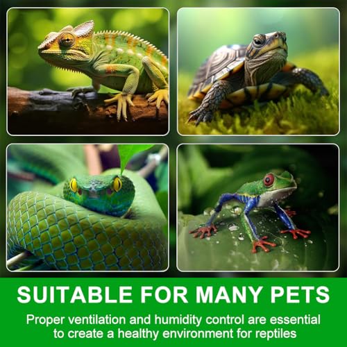 Reptile Ventilation Fan, Auto Temperature/Thermometer Control LED Digital Humidity Gauge, °C/°F Switchable Dehumidifier for Reptile Tank, Rainforest, Ecological Pet Rearing Box (Automatic Humidity) - size: Automatic humidity
