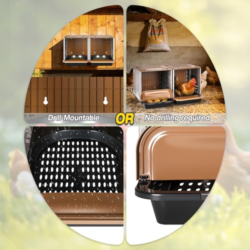 Chicken Nesting Box, 2 Compartment Nesting Boxes for Chickens, Large Chicken Laying Boxes for Egg Collection & Hen on Nest, Roll Away Nesting Boxes Chicken (Extra Large)