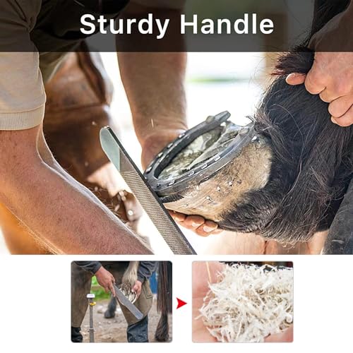 14 Inch Professional Hoof Trimming Kit, 8 Piece Farrier Tools Set with Hoof Nippers, Rasp, Shear Cutter, Hoof Knife, Sharpener, Pick, Gloves, Storage Bag, for Horse Goat Pig Hoof Care - size: 14.5 Inch