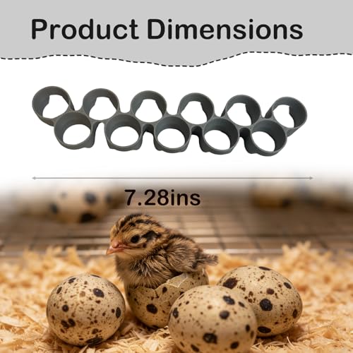 Custom Quail Egg Turner Tray Compatible with Maticoopx 20 Egg Incubator | Precision Fit Hatching Accessory for Small Eggs, 11 Slot Small Egg Tray Accessory - Durable Grey (M20) (Tray Only） - color: M20