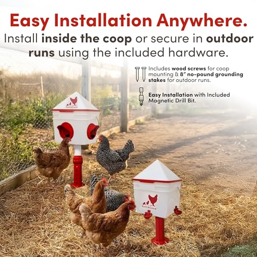 RentACoop Chick2Chicken 10lb Feeder & 2 Gallon Waterer Set - size: Set with Nipples and Auto-Refill Cups