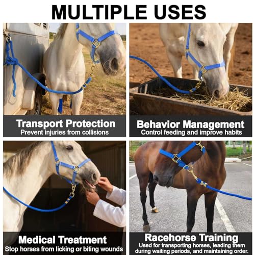 5/8" x 8' Nylon Horse Lead Rope (Royal Blue) | Durable nylon material, cast iron hardware, ideal for daily use, training and showing. - color: Royal Blue