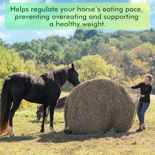 6x6 ft Round Bale Hay Net – Slow Feeder for Horses & Livestock, Extra Dense 2" Knotless Holes, Durable & Healthy Feeding Solution - size: 6 x 6 ft