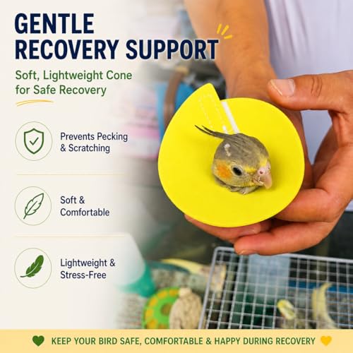 4Pcs Budgerigar Lovebird Bird Cone Collar | Bird Elizabethan Collar for Wound Biting Prevention&Feather Plucking, Protective Recovery Cone for Lovebird Cockatiel Parrots - size: S