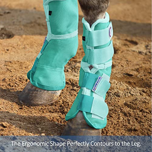 Harrison Howard Horse Leg Guard Stomp Reduction Hook and Loop Closures Rubbing Prevention - color: Mint, size: Arab Medium (Pack of 4)