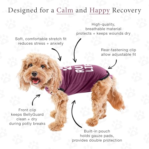 Dog Surgery Recovery Suit, Male Female After Spay Neuter Onesie | Soft Breathable Cotton, Anti-licking Cone Alternative, Protects Stitches & Abdominal Wounds, Patented Clip-up Potty System - color: Maroon, size: Small