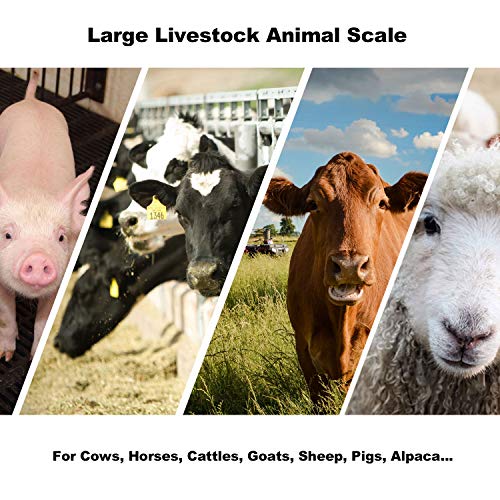 Large Farm Animal Scale/Digital Livestock Weighing Equipment, Capacity 4000 x 1 lb for Cattle, Horse, Goat, Cow, Alpaca, etc. (84x30)
