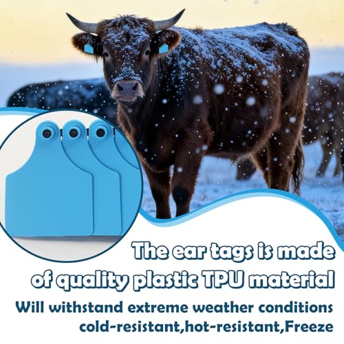 Blank Cattle Ear Tags 100PCS TPU Oversize 4.1x3 Inch Livestock Tags | Identification Tags for Cows Calves Cattle Goats Sheep Pigs Hog Fade Resistant Farm Animal Management (Blue) - style: Blue
