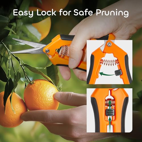 GROWNEER 3 Packs 6.5 Inch Pruning Shears Gardening Hand Pruning Snips Gardening Scissors with Straight Stainless Steel Precision Blades - style: Orange