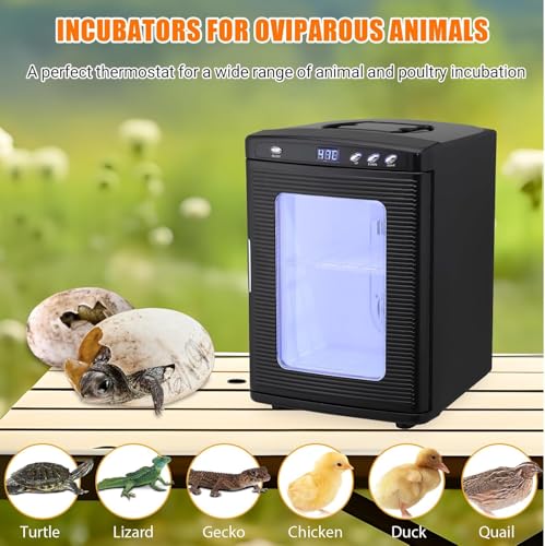 25L Reptile Egg Incubator with Temperature Control (10°c - 60°c), Portable Digital Cooling & Heating Lab Incubator for Small Reptiles, 12V/110V Compatible（Black） - color: Black