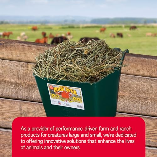 Little Giant HF15GREEN Heavy Duty 15 Quart Mountable Plastic Hook Over Feeder, Green (2 Pack)