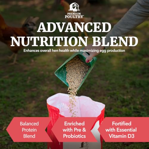 Chicken Layer Feed Pellets, 16% Protein, 40lb, Made in USA | Supports Consistent Egg Production, Strong Eggshells, Calcium Absorption & Vitamin D3, Ideal for Backyard Flocks - size: 40lb (Pack of 1), style: Layer Pellets