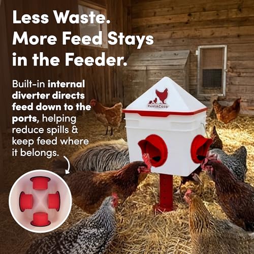RentACoop Chick2Chicken 10lb Feeder & 2 Gallon Waterer Set - size: Set with Nipples and Auto-Refill Cups