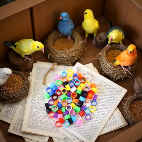 100Pcs 10-Color Poultry Leg Bands, Leg Bands Clip-on Rings for Birds, Ducks and Chickens, Multi-Color Farm Animal Livestock Tagging Accessories, 8mm Adjustable Clip-On Bird ID Rings for Poultry