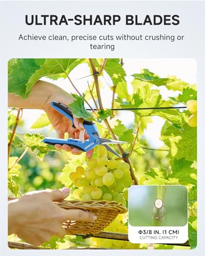 Fondwell 6.5" Gardening Scissors Trimming Shears: 2 Pack of Trimming Scissors for Buds - Comfortable Hand Pruners with Curved Blades | Plant Pruners Snips, Ultra-Sharp Micro-Tip Curved Blades, Comfortable Use, Safety - Best for Precision Cuts in Tight Spa