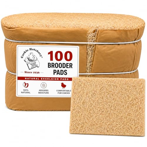 Cackle Hatchery Excelsior Brooder Pads for Chicks (100 Pack) - 9"x12" Aspen Excelsior Pads for Lining Chick Brooders - size: 100