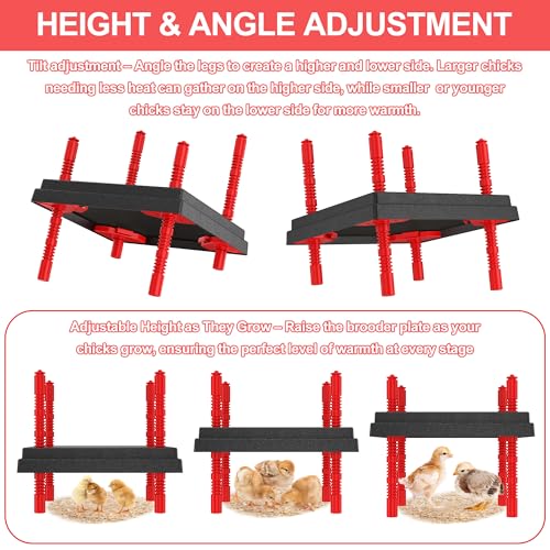Chick Brooder Heating Plate with Anti Stand Cone, Fixed Temp, 12"x12" Black | Adjustable Height Brooder Heater for Chicks, Downward Heat Distribution for Outdoor Barns & Coops - size: 12" x 12" with Fixed Temp