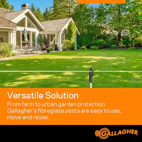 Gallagher 3/8" x 48" Fiberglass Step-in Electric Fence Posts 50 Pack | Holds Wire Polywire Polytape | Weatherproof & Lightweight | Portable Fence Posts for Livestock Gardens & Rotational Grazing