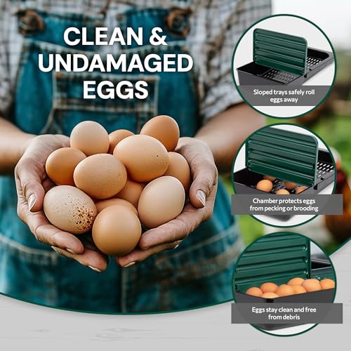 Homestead Essentials Compact Style 3 Compartment, Forward Rollout & Rollaway, Hen & Chicken Nesting Box with Protective Egg Laying Collection Lids