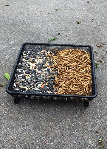Ground Bird Feeder Tray 8 inches Square Platform Metal Mesh Seed Holder Outdoor Garden Decoration for Attracting Wild Birds