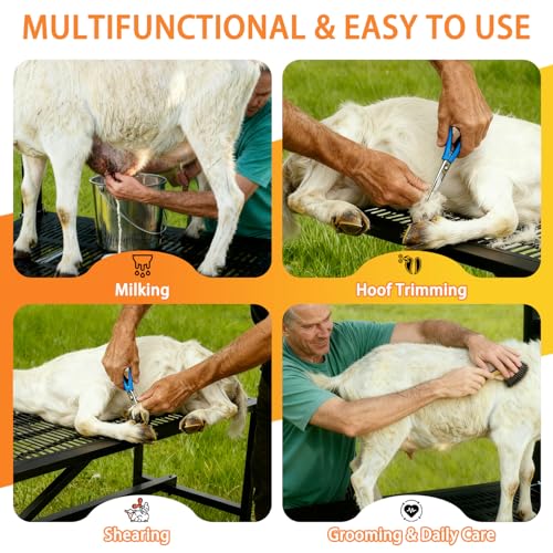Upgrade Goat Milk Stand with Feed Bin, 400lbs Goat Stand for Grooming & Hoof Trimming, 1mm Thick Platform & Anti-Slip Design, for Pygmy and Dwarf Goats, Firm Head Lock and Adjustable Head - size: M - 38"L x 18"H