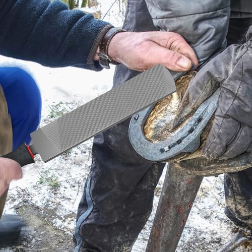 Gisafai 2 Pcs 18 and 12 Inch Rasps for Shoeing Horses with Handle Trimming File Carbon Steel Farrier Tools for Repair Horse Hooves Goat Hooves Cow Donkey Pig Animal Repairing Wood Working Supplies - size: 18/12 Inch
