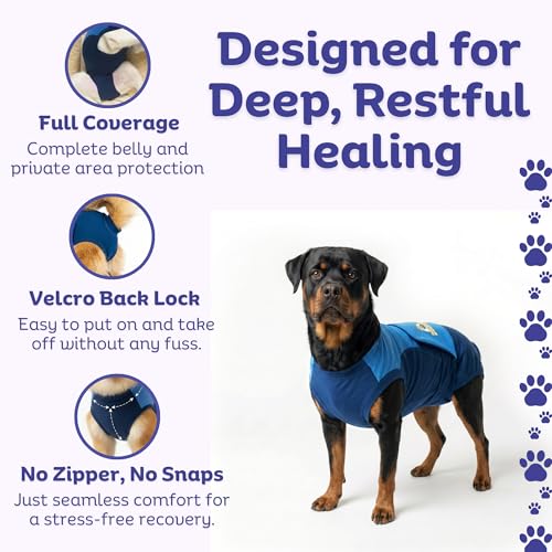 Surgi Snuggly Dog Surgery Recovery Suit, Cone Alternative, Spay/Neuter 2XLS | Dog Recovery Suit for Dogs — Veterinarian-Invented Surgical Suit & Recovery Onesie with Easy Bathroom Access After Surgery - color: Double Blue, size: 2 Extra Large Small(L-28"-