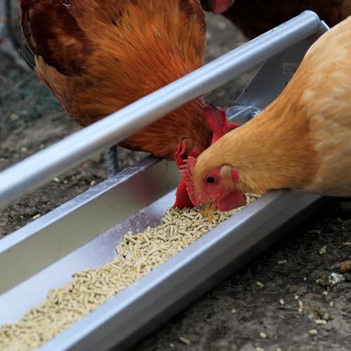 KOL Portable 45" Long Galvanized Steel Livestock Feeding Trough, Heavy-Duty Large Capacity Feeder, Easy to Clean, for Calves, Sheep, Horses, Goats