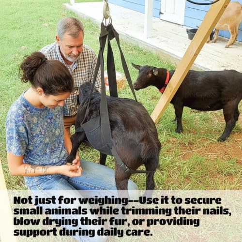 Calf Sling for Weighing Animals, Animal Hanging Scale, Easy to Weigh Newborn Livestock Lifting Harness for Calves, Lambs, Goats, Alpacas, Dogs, Pigs, Adjustable Back Straps