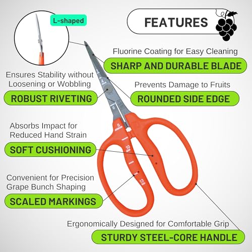 Chikamasa B-500SLF Stainless Steel Fluorine Coated Garden Pruning Shears with Nascom Blade Cleaner & Sap Remover Set, Made in Japan Professional Gardening Maintenance Kit