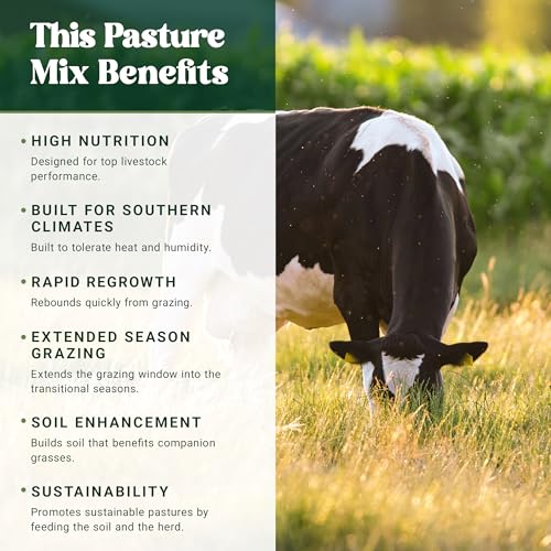 Nature’s Seed Southern Dairy Cow and Cattle Forage Mix, Pasture Grass Seed Blend, Protein-Rich, Warm Season, 10 lbs