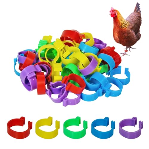 Chicken Leg Bands, 50 Pack, 20mm, 5 Colors, Poultry ID Tags for Ducks, Bantam, Guinea, Goose (50, Multicolor)