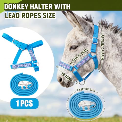 1 Set Mini Donkey Halter with Lead Rope Adjust, Lake Blue | Nylon Head Collar, Cute and Stylish, for Miniature Donkey and Small Equines, Farm Ranch Pasture Outdoor, Gingham Plaid Trim - color: Lake Blue