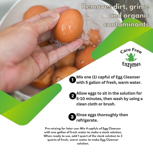 CareFree Enzymes Egg Washer & Egg Cleaner — Natural Enzyme Egg Wash for Fresh Farm Eggs, Safe for Backyard Chickens & Homesteads, 33.9 oz