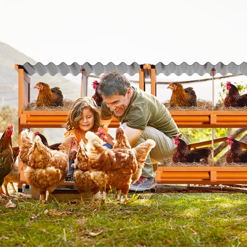 2-Tier Chicken Nesting Box, 10 Compartment Wooden Nesting Box for Chickens with Waterproof Roof, Non-Slip Stable Base, Heavy Duty Chicken Laying Boxes for Hens, Duck, Poultry, Bird, Orange - size: 67.0"L x 12.6"W x 29.8"H