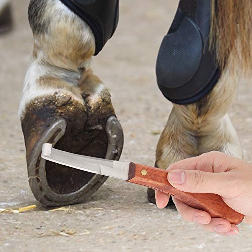 Hoof Knife for Horse Hoof Trimming 45 Steel Material Ergonomic Wooden Handle 22.5cm for Cattle Goat Sheep, Smooth Glide Dual Sided Reduces Hand Fatigue for Livestock