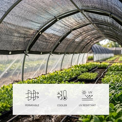 Royal Shade50% Black Shade Cloth 8FT x 16FT Mesh Tarp with Grommets for Garden Patio, Plant Shading, Greenhouse, Pergola, Chicken Coop, Dog Kennel, Lawn (We Make Custom Size)