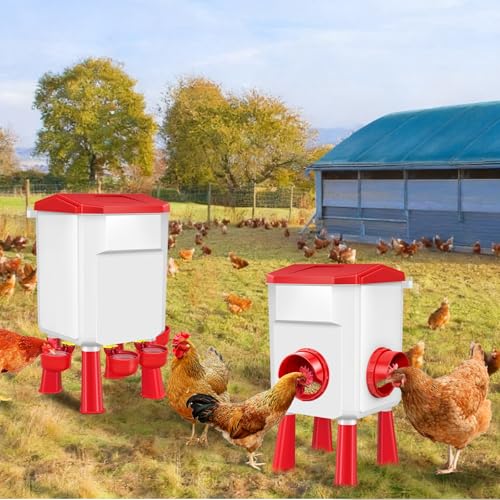 Auto No Waste Chicken Feeder and Waterer Set 2 Gallon/17.6 Pounds | Sturdy & Durable Chick Feeder and Waterer Set, Poultry Feeder Large for Hens/Ducks/Poultry