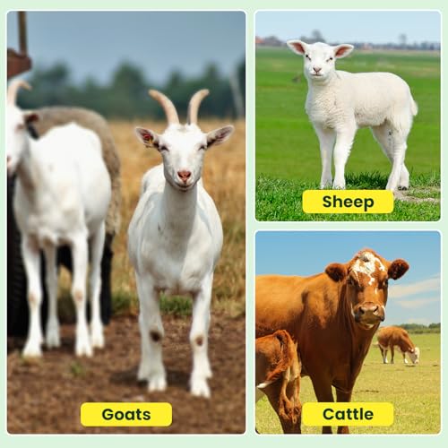 Electric Fence Netting, 164'L x 49.6" H, for Livestock, Goat, Cattle, Sheep | Portable Electric Fence, PE Net Fencing Kit for Backyards, Ranches, Farms, Patio, Goat Fencing with 14 Posts Double Spiked