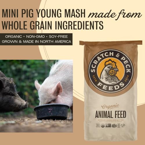 Scratch and Peck Feeds | Young Mini Pig Feed | Whole Grain Mash | 25 lb Bag | 15% Protein, Corn & Soy Free, Certified Organic and Non-GMO Project Verified, Complete Nutrition