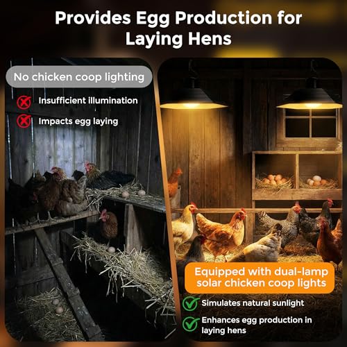 4800mAh Solar Chicken Coop Light with Timer, 3/5/8H Remote | Chicken Coop Accessories, Dual Lamps 58 LED, 3 Brightness Levels, 19.6ft Cords, IP54 Waterproof Light for Sheds Barns Farm
