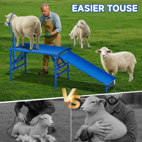 Goat Milking Stand with Ramp, 600LBS Foldable Livestock Trimming Platform, Metal Grooming Stand with Adjustable Headpiece & Stainless Steel Feeder for Nubian & Dwarf Goats
