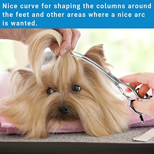 HASHIMOTO Curved Dog Grooming Scissors, 6.5 inch, Trimming Face and Paws. | Sharp, lightweight, 440C Stainless Steel, 30 Degree of Curved Blade - size: 6.5", style: Curved