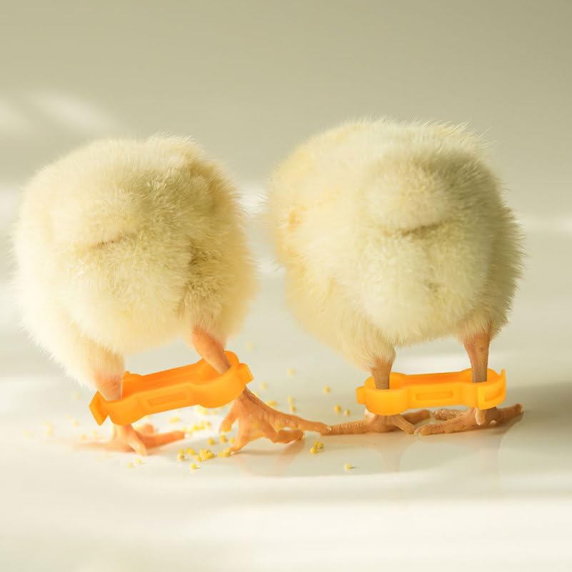 9pcs Foot Orthosis for Chickens Quails Parrots Bird Leg Ring Arch Support
