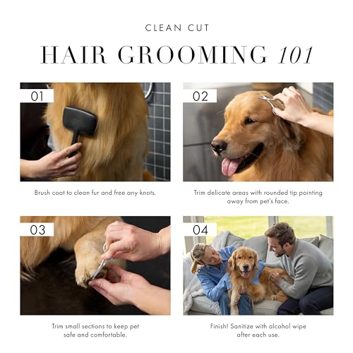 Tweezerman Pet Grooming Scissors-Rounded Tip Trimming Scissor for Dogs/Cats - style: Scissors