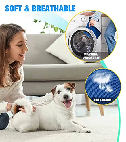 Kkiimatt 10 in 1 Dog Pet Grooming Hammock Harness with Nail Clippers/Trimmer, Dog Hammock for Nail Trim, Grooming Sling Hanger for Nail Trimming/Clipping (S/Under 30lb, Blue) - color: Blue, size: S/Under 30 lb
