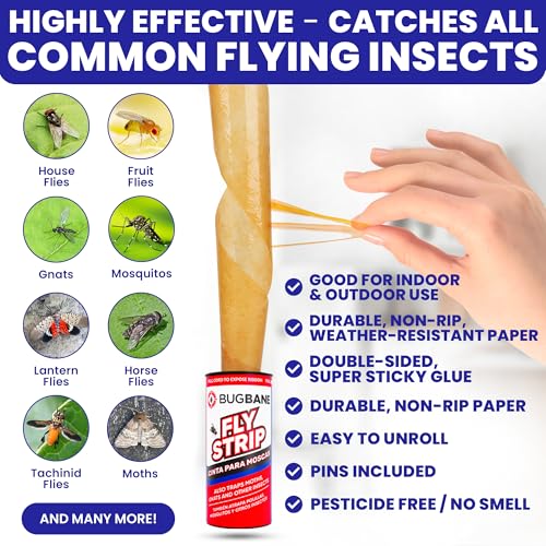 Fly Strips Indoor Sticky Hanging 48pk with Pins. Non Toxic Outdoor Fly Trap Indoor for Home. Flies Tape Paper Trap Ribbon Roll for House Gnat Fruit and Housefly. Bug Catchers for Inside Home Flypaper. - size: 48 count