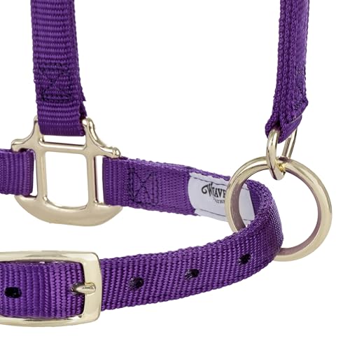 Weaver Leather Adjustable Breakaway Nylon Horse Halter, Purple, Weanling/Pony
